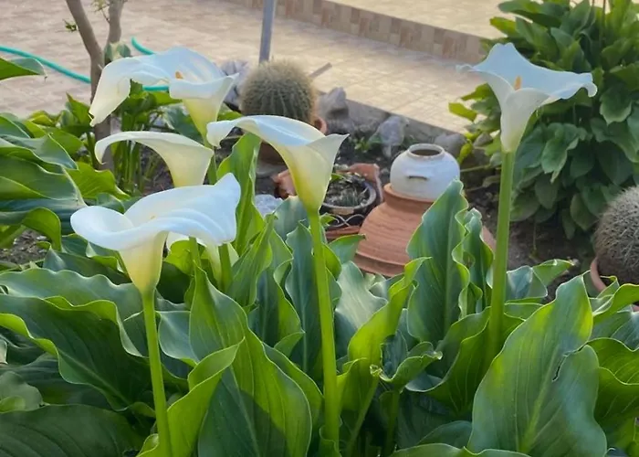 Kamara - Traditional Stone House * Malona Village