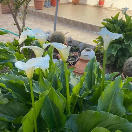 Kamara - Traditional Stone House * Malona Village